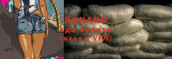 ECSTASY Богданович