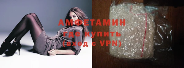 ECSTASY Богданович