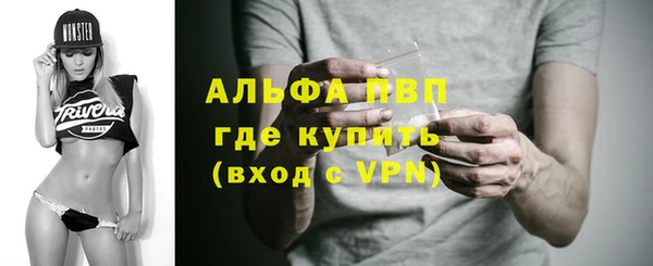 дживик Богородицк