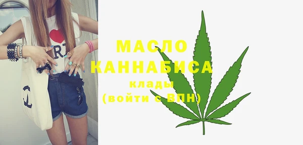 ECSTASY Богданович