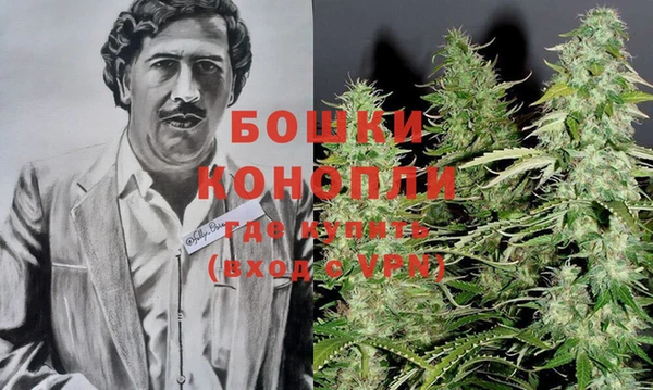 ПСИЛОЦИБИНОВЫЕ ГРИБЫ Александровское