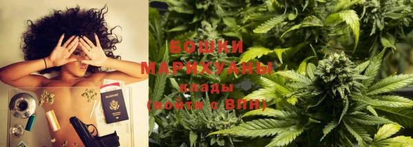дживик Богородицк