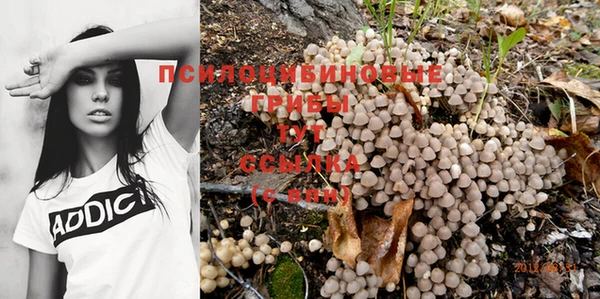 дживик Богородицк