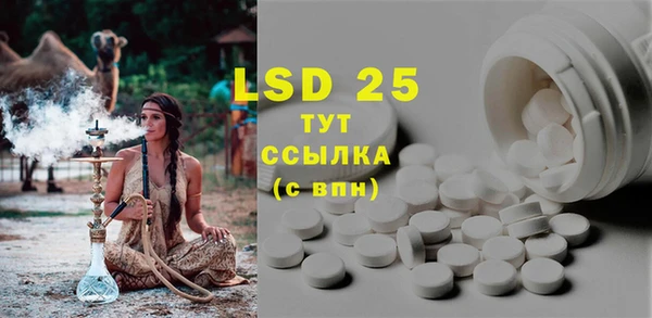 ECSTASY Богданович