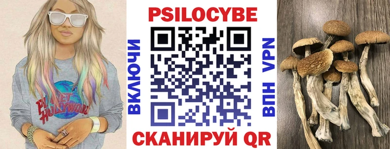 Псилоцибиновые грибы ЛСД  Купить где  Нолинск 