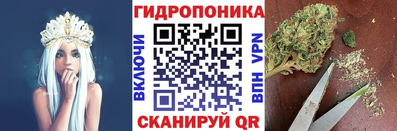 Конопля Amnesia Нолинск